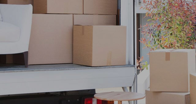 Transport / Delivery Services
